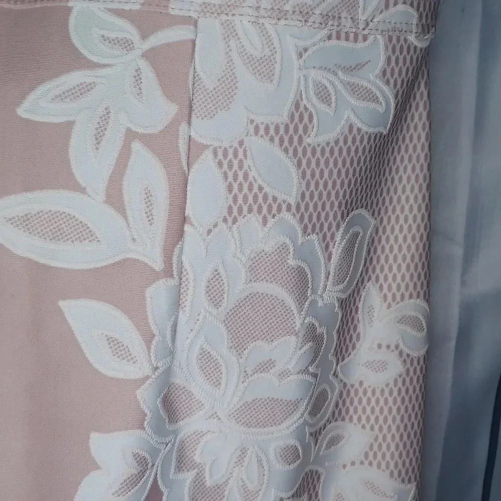 Enfocus Studio Pink and White Lace Sheath dress - Picture 6 of 9